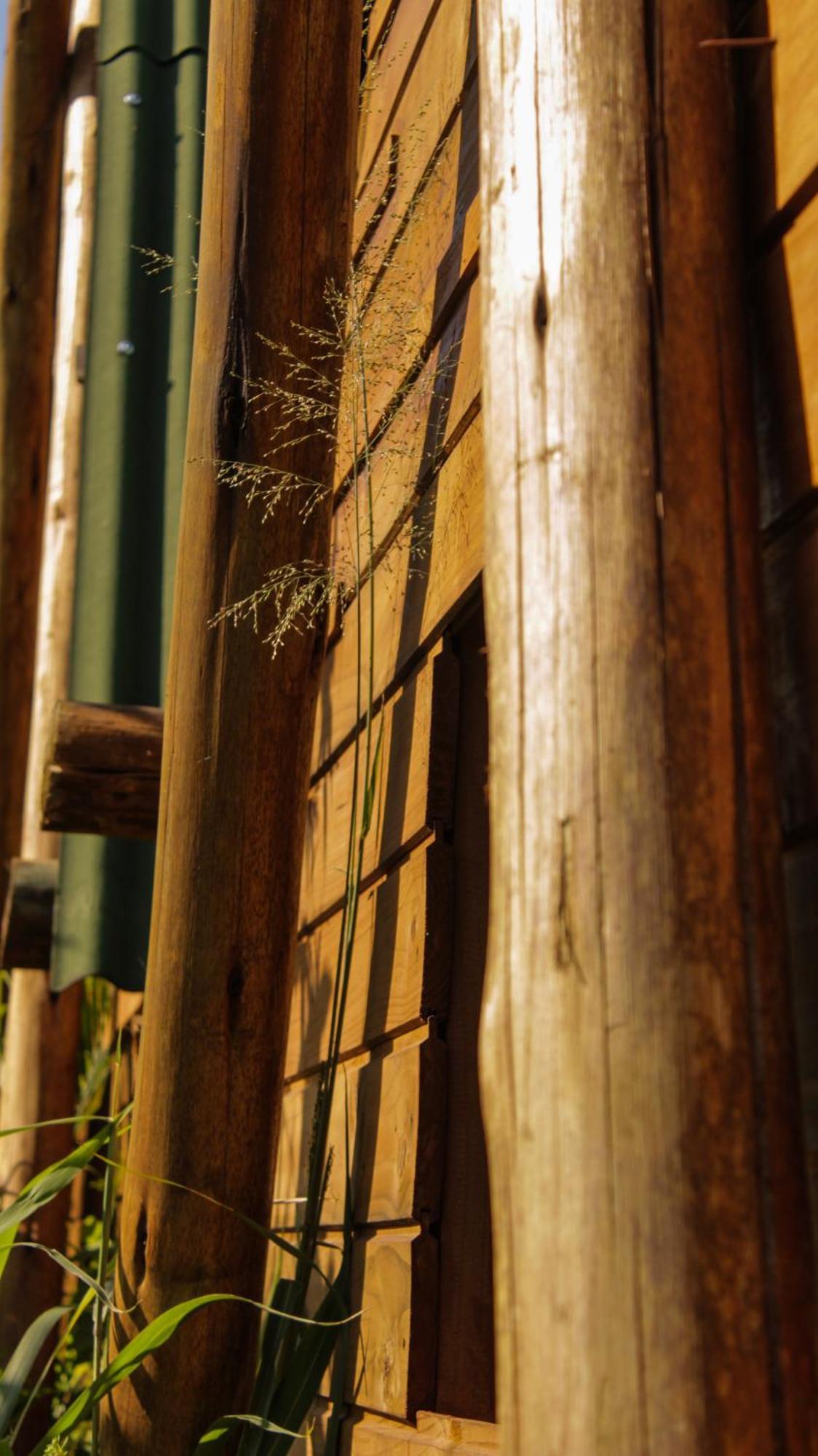 Campo de lujo Valhalla Glamping House *